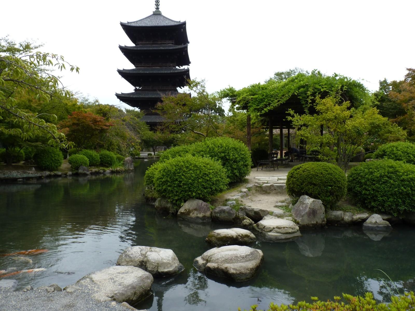 Vive la naturaleza japonesa