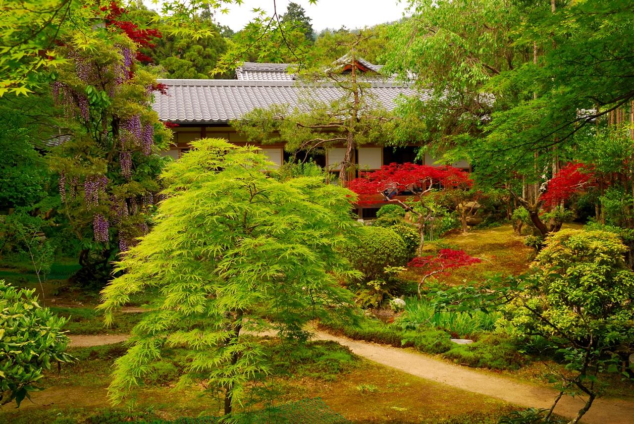 Ver y comprender pelis japonesas.