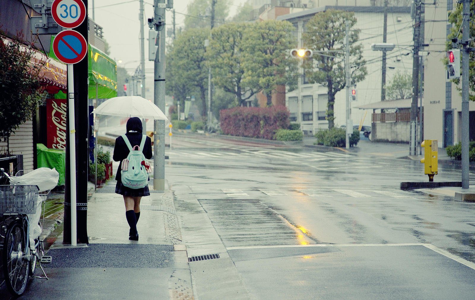 concepcion de la educacion en japon