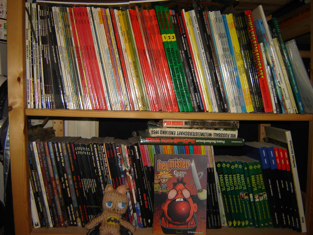 Existe una grandísima variedad de cómics.