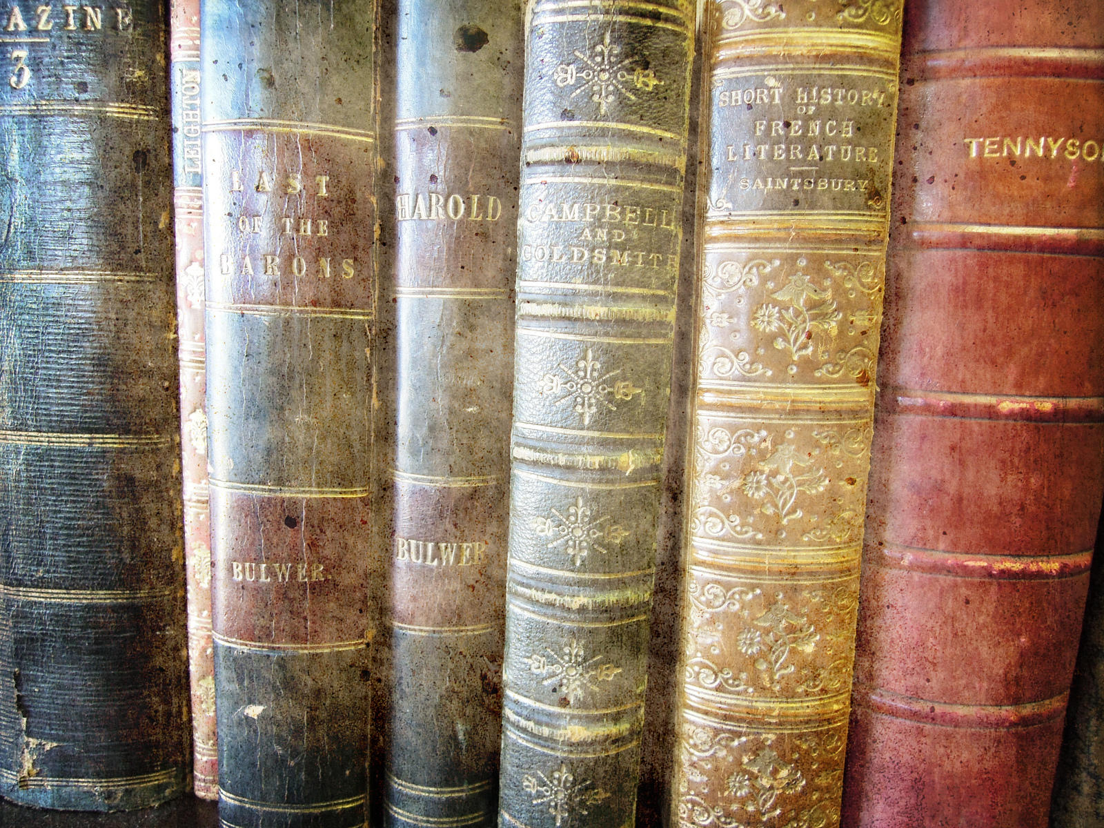 La literatura rusa ha dado grandes nombres a lo largo de su historia.