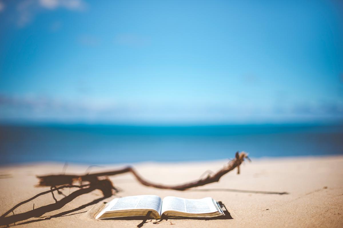 en vacaciones se puede disfrutar y estudiar