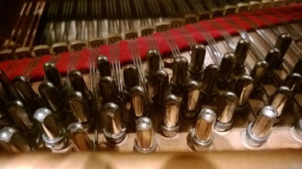 Trabaja las notas musicales