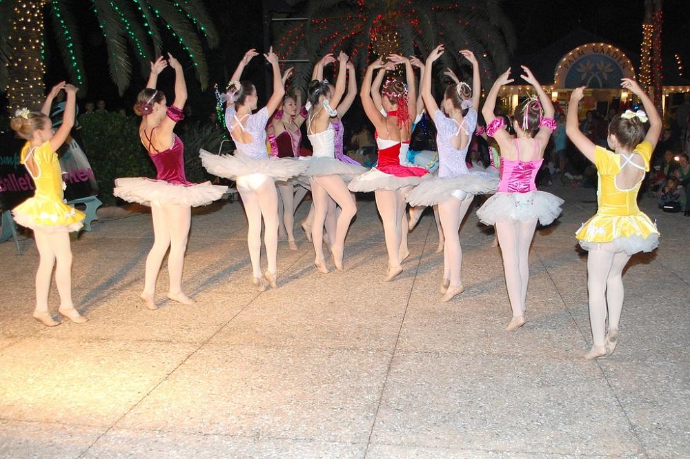 Clases con profesores particulares de danza.