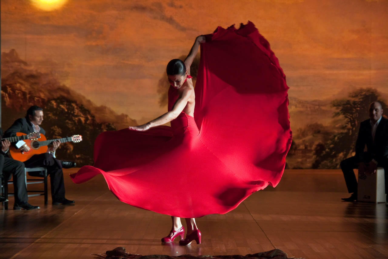 Disfrutar baile flamenco.