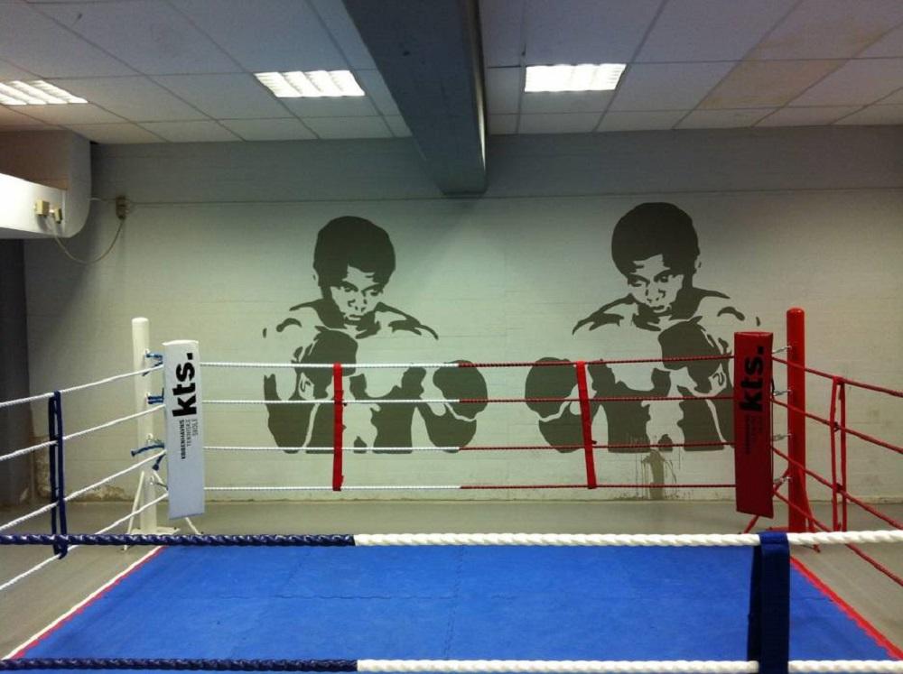 Campeones mundiales de boxeo españoles