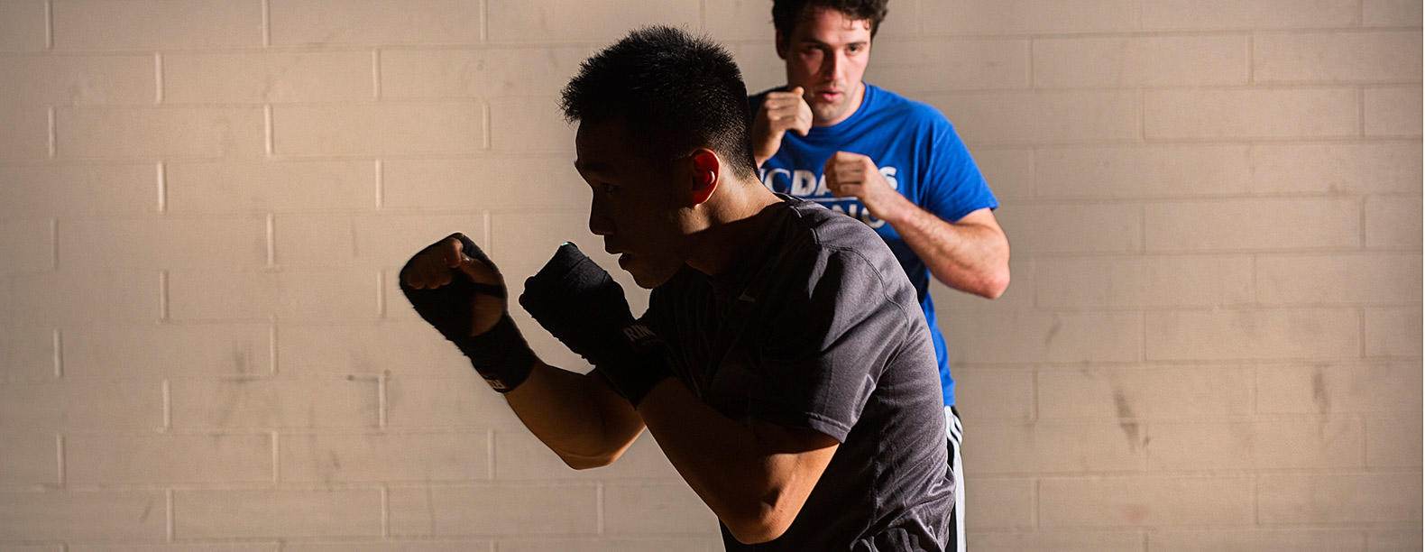 Tipos de shadow boxing