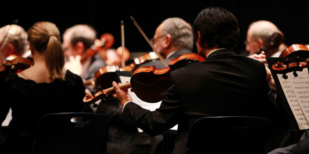 Descubre qué hacer con tu violín.