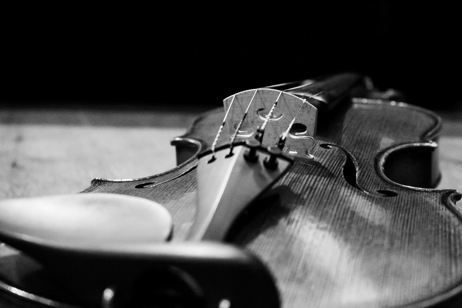 Primer plano en blanco y negro de un violín colocado boca arriba. El foco se centra en el puente y las cuerdas, enfatizando la artesanía y la elegancia.