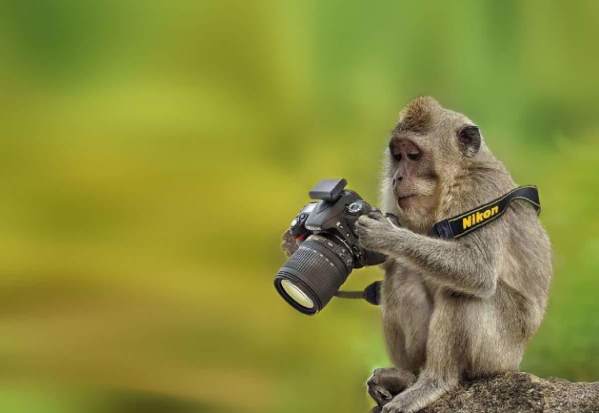 Especializaciones en fotografía