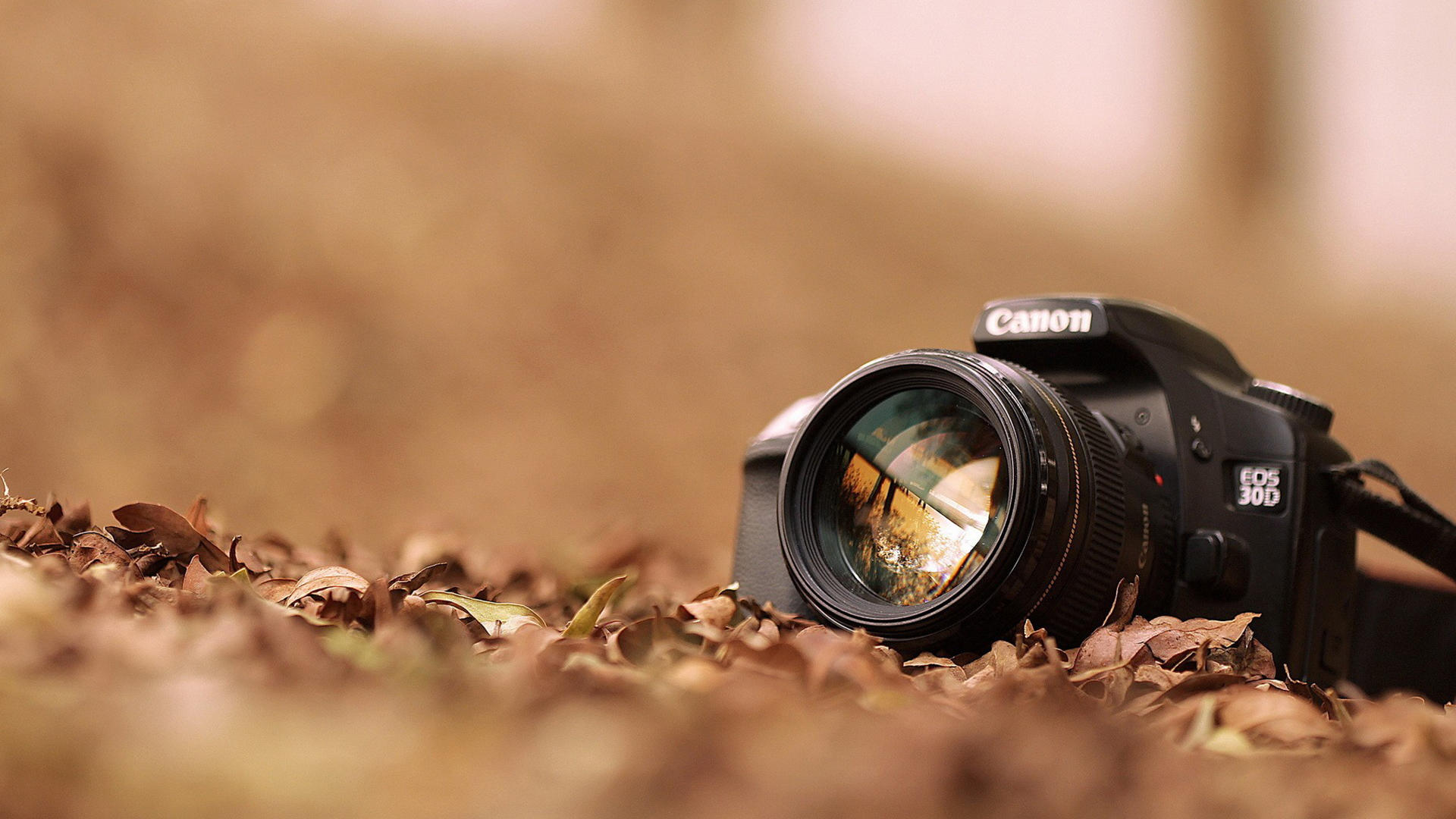 Enseñanza personalizada en fotografía