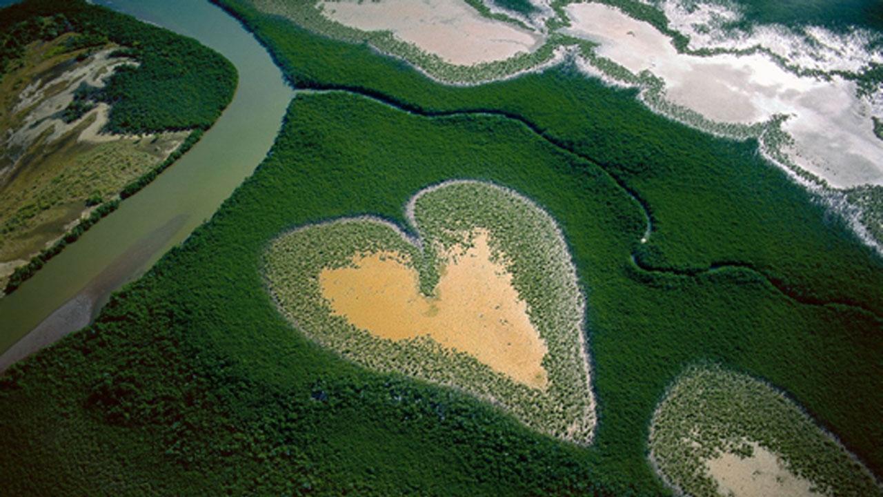 Un grito a la naturaleza.