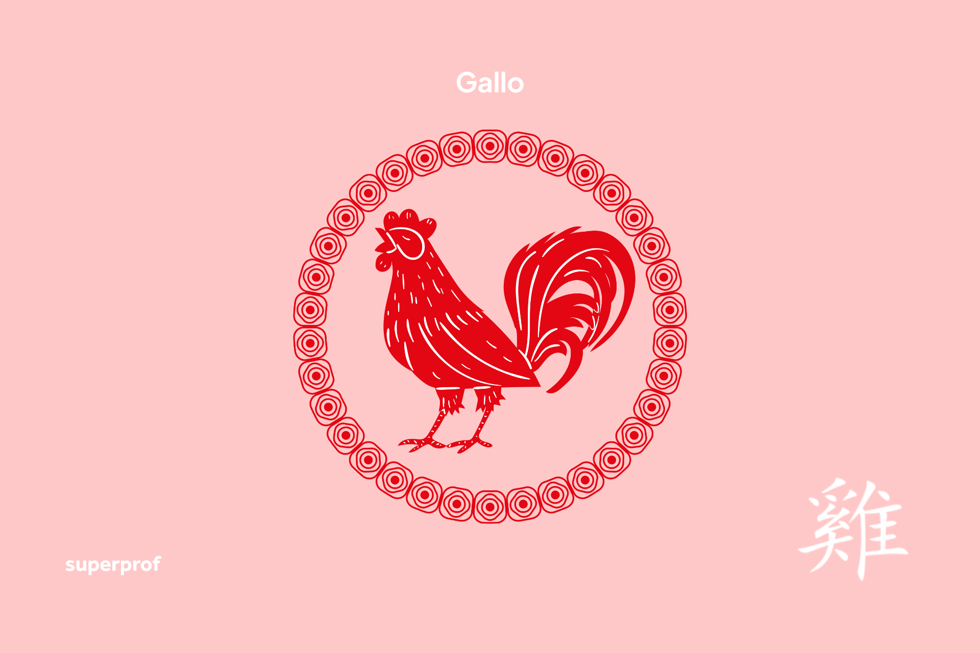 Ilustración de un gallo rojo rodeado por un patrón circular, con el texto «Gallo» y «superprof» sobre un fondo rosa.