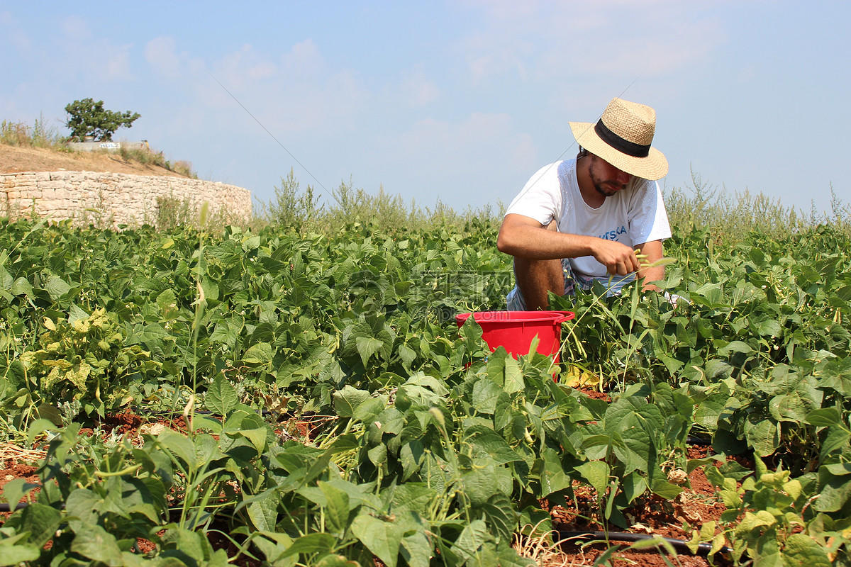 Clases de jardinería