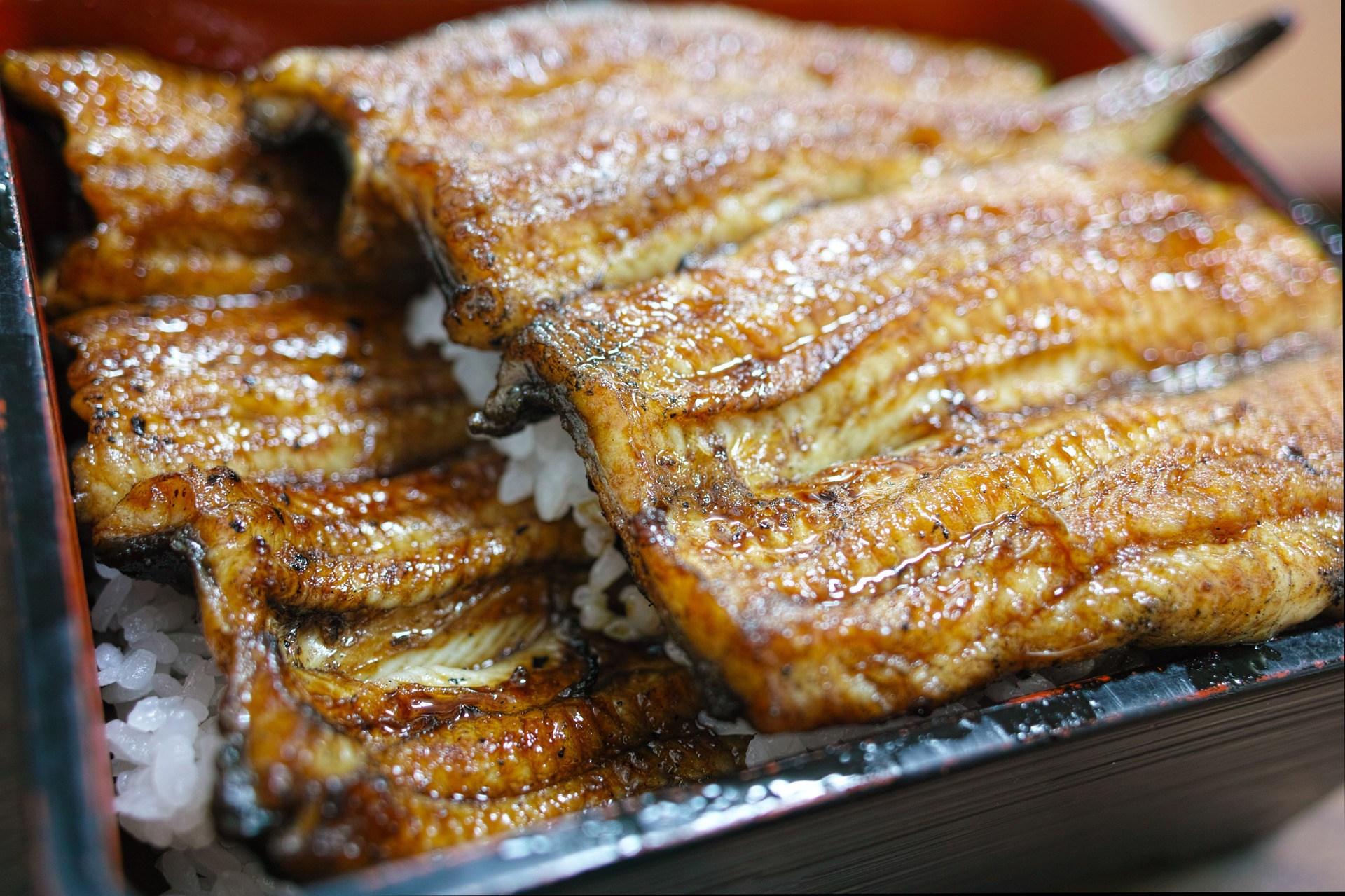 A los japoneses les gusta cocinar con anguila.