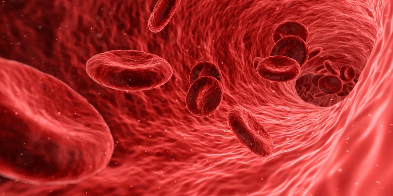 Descubre biología con series de televisión.