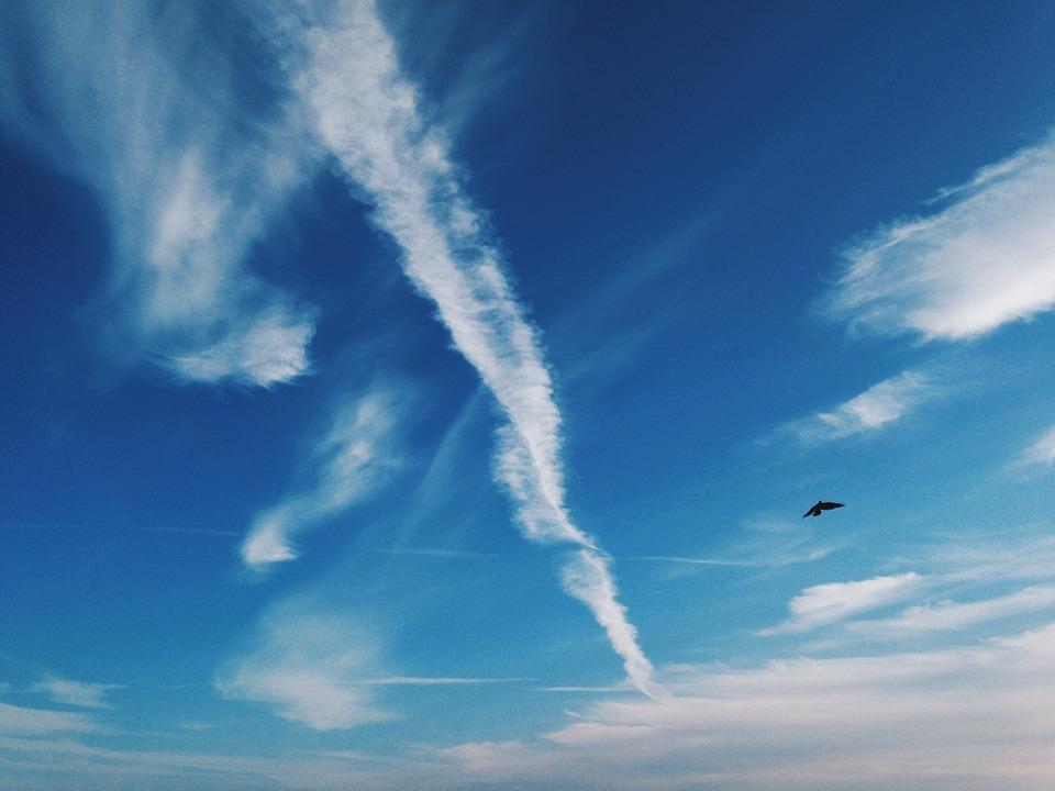 VSCO