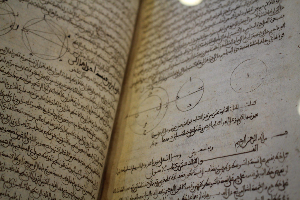 Puedes utilizar tu dominio del árabe para descubrir otras disciplinas.