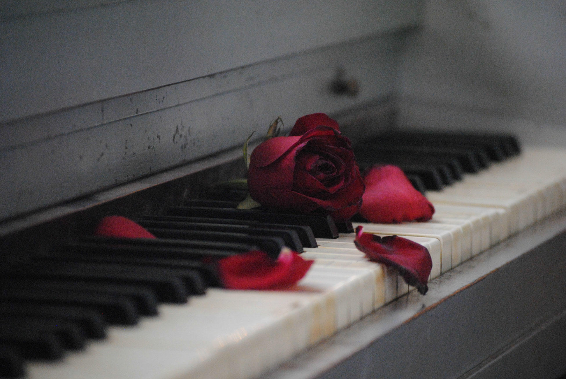 Aprender el piano en una asociación.