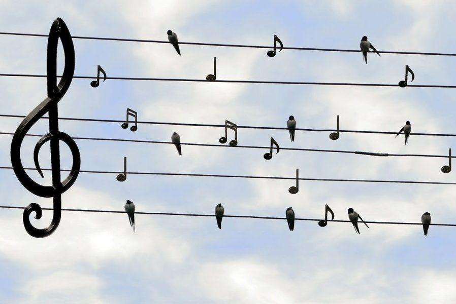 Aprender a respirar en canto