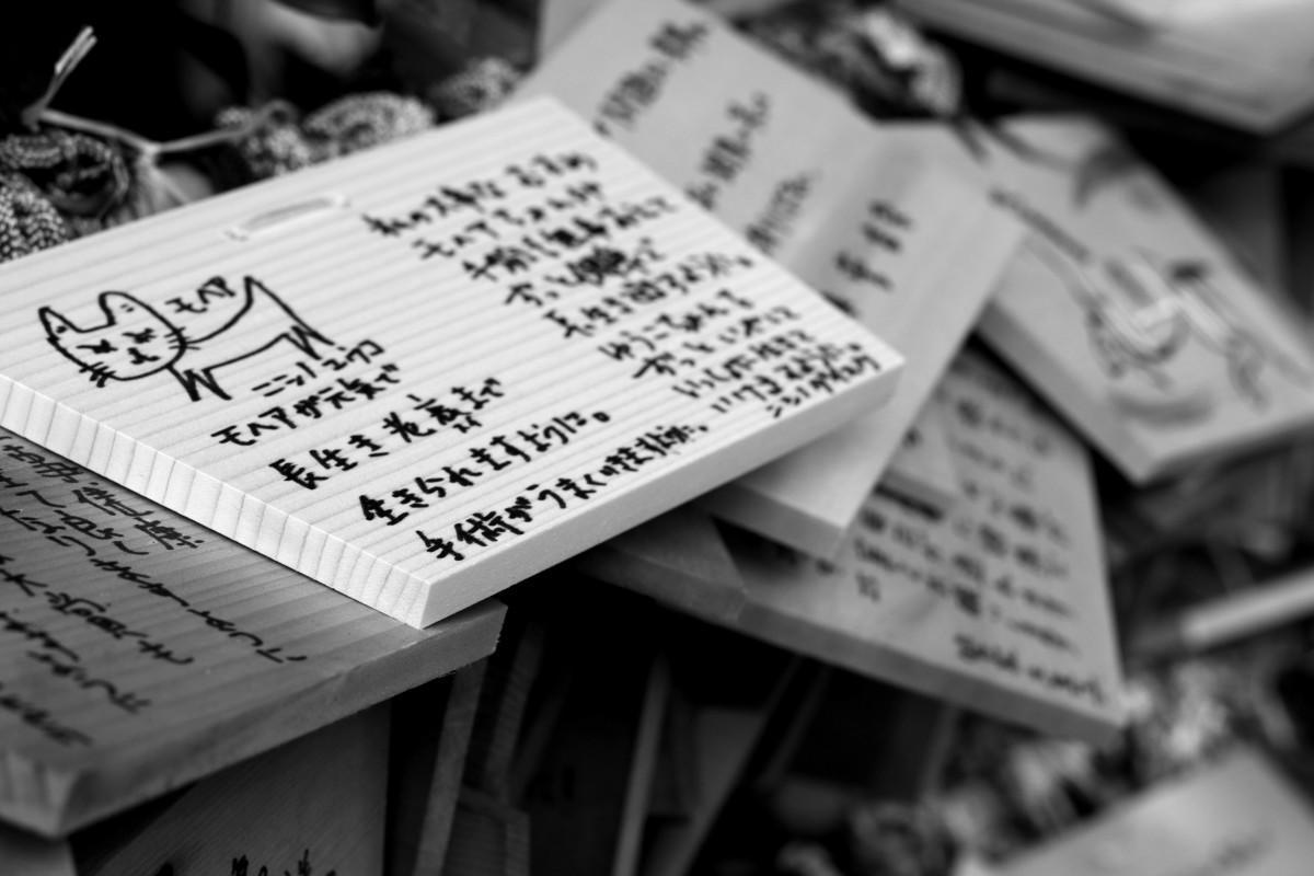 Estudiar japonés en Japón