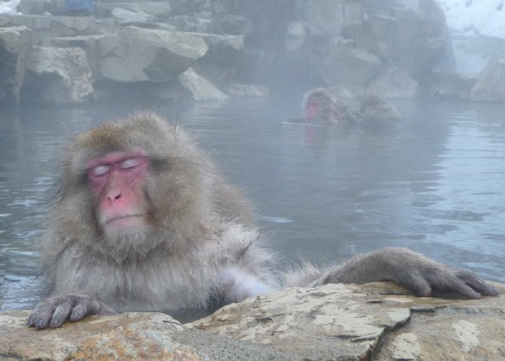 Disfrutar de los baños onsens de Japón