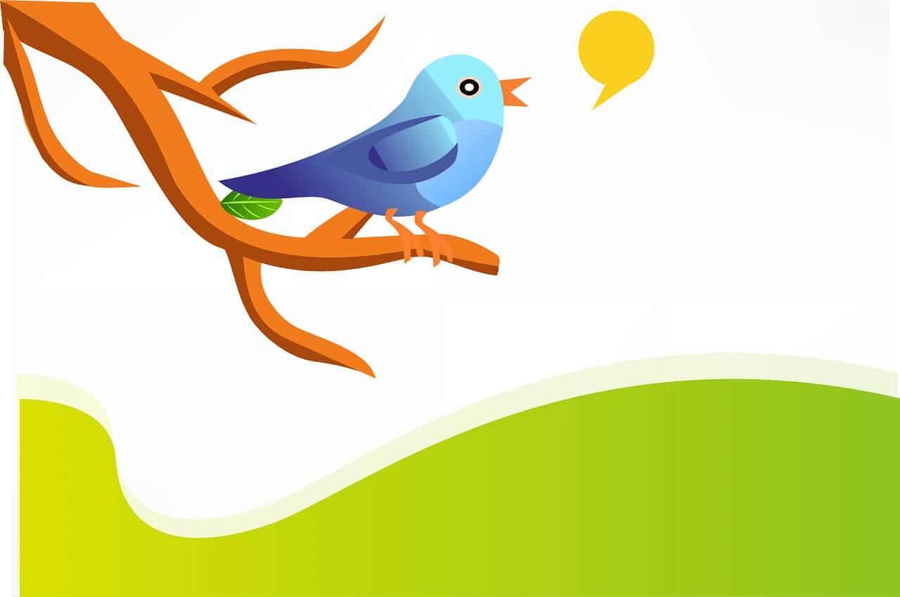 Cómo crear un perfil en Twitter