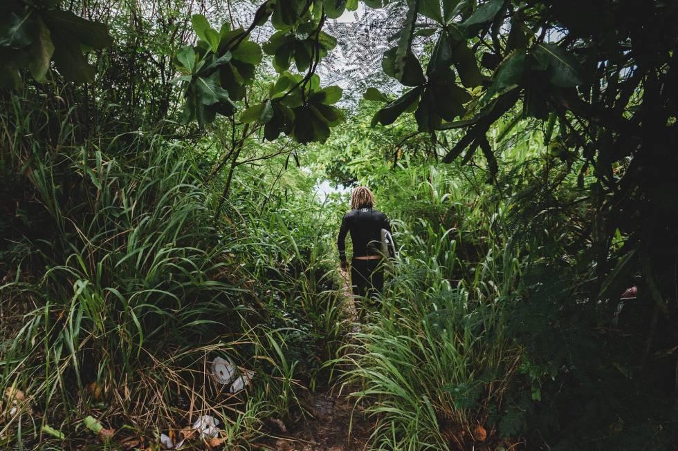 Chica caminando entre la selva