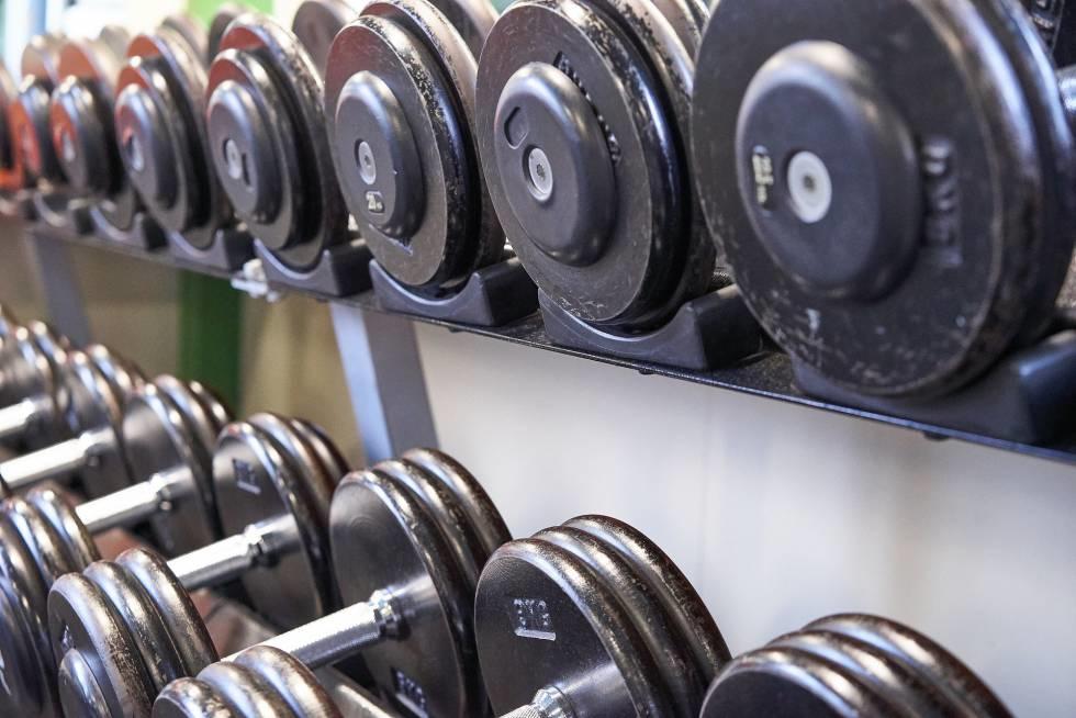Material básico de musculación femenina