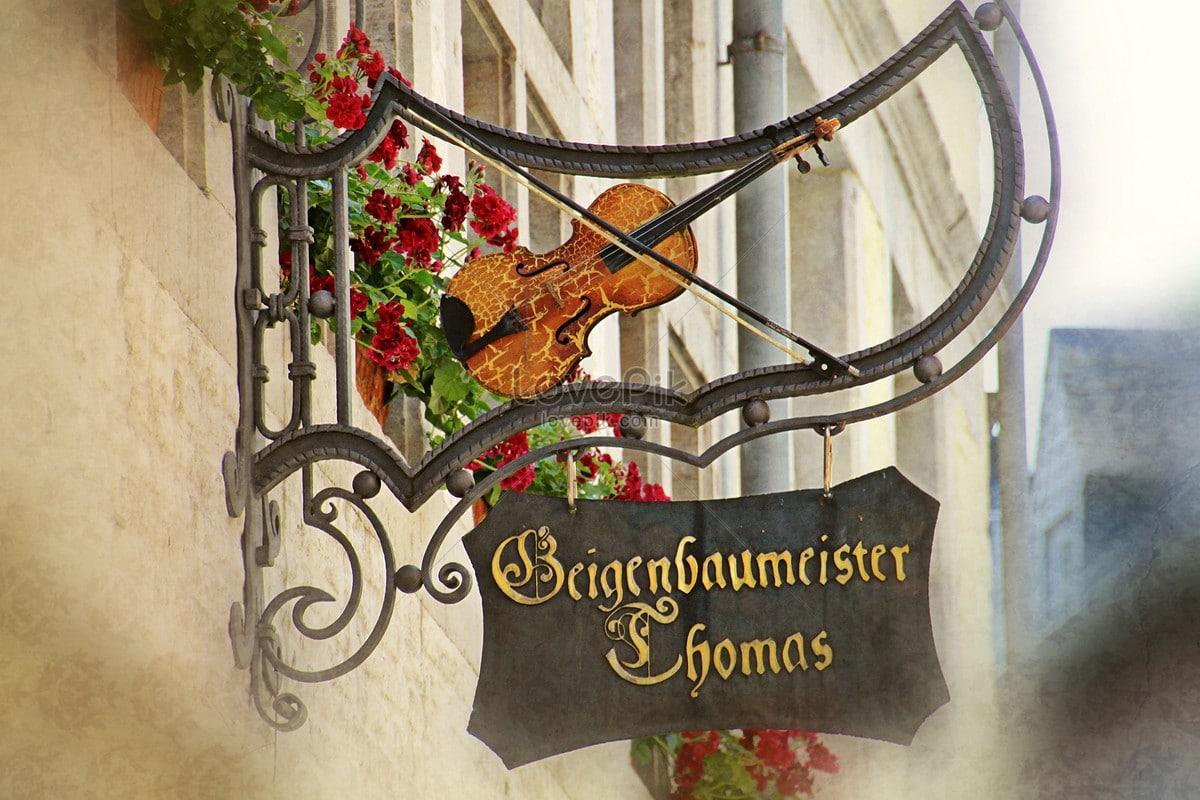 Conocimientos básicos de alemán.