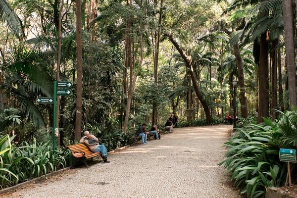 Paisajes de Brasil