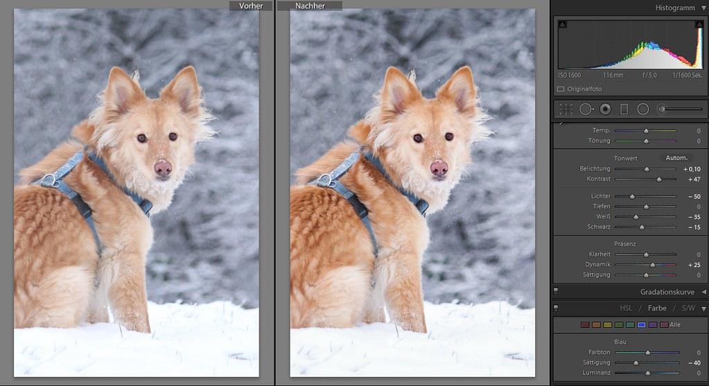 Herramientas de Lightroom