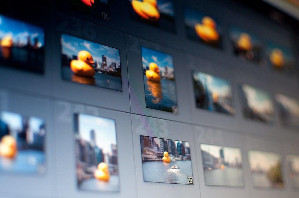 Ficheros sin formato