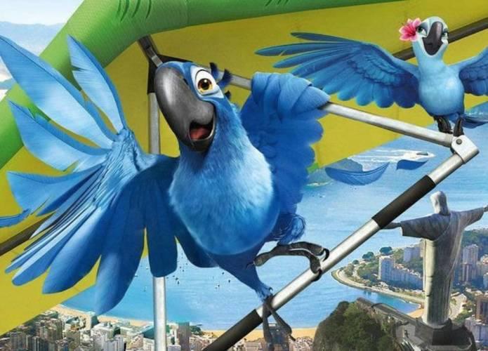 Actividades de ocio en Río.