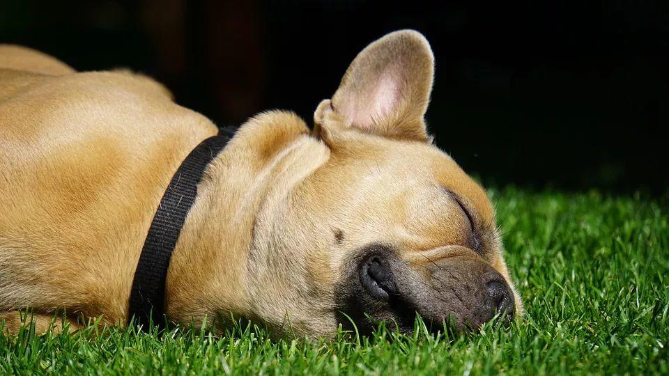 Descansar para adelgazar