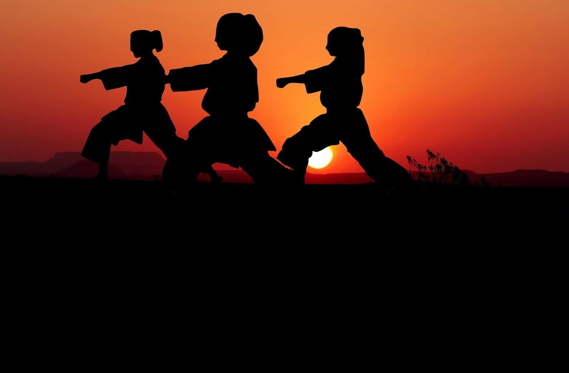Artes marciales del archipiélago japonés