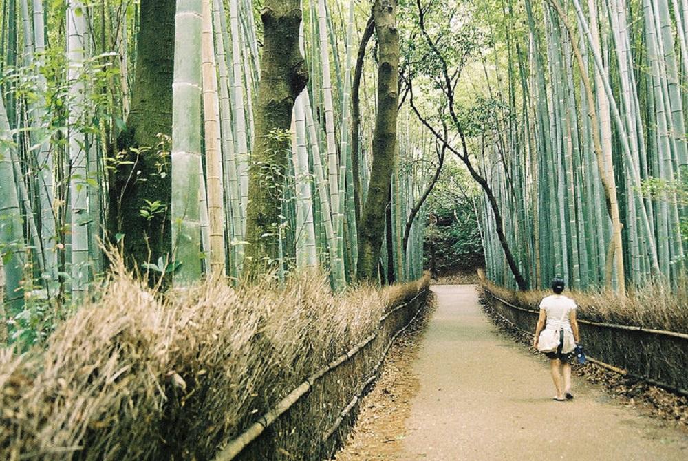 Qué visitar en el barrio de Arashiyama