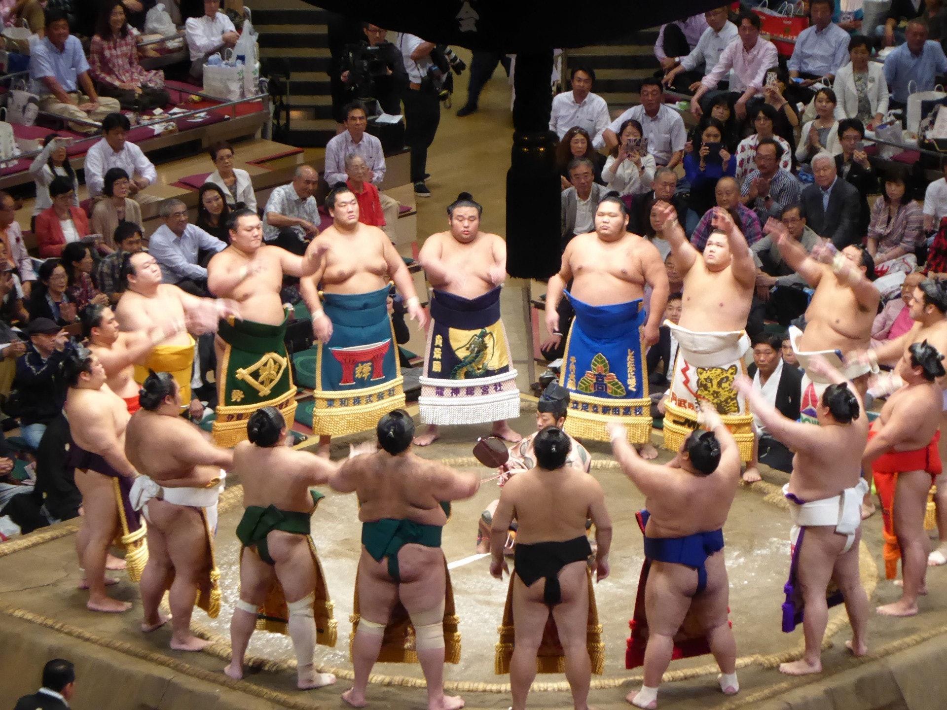 Orígenes del sumo