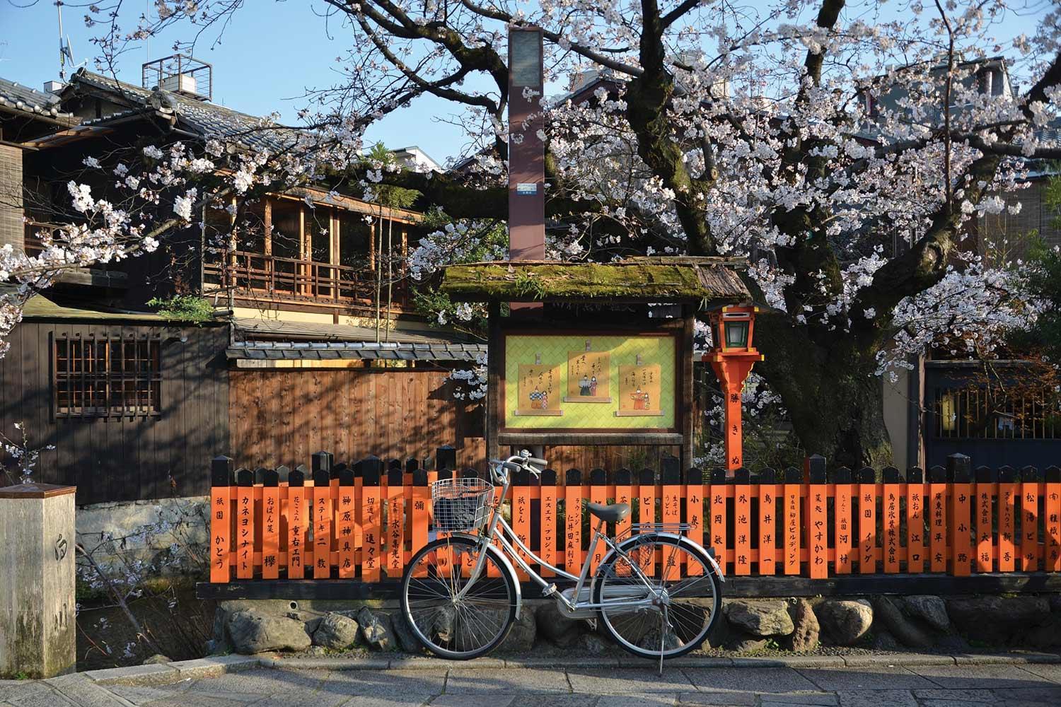 Mejor época para viajar a Kioto