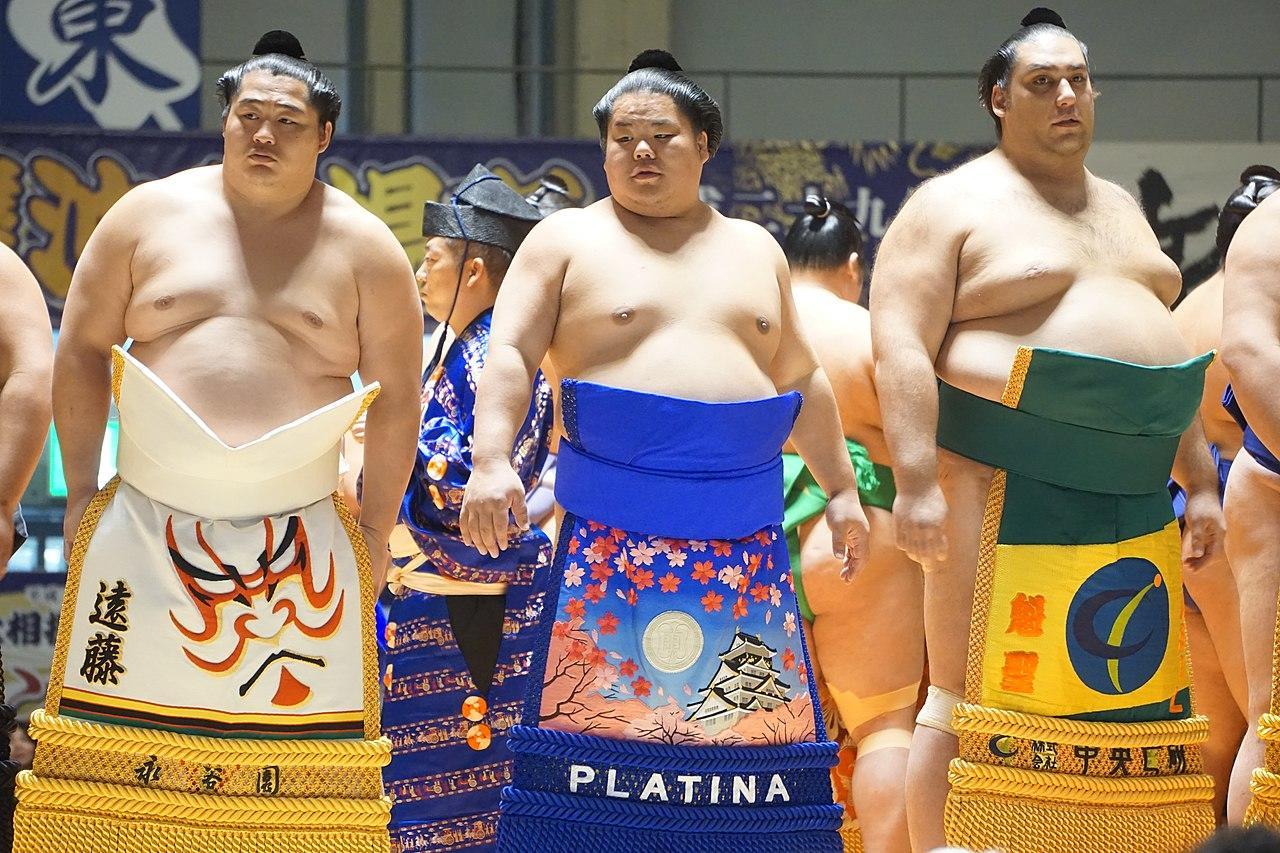 ¿En qué consiste el sumo?