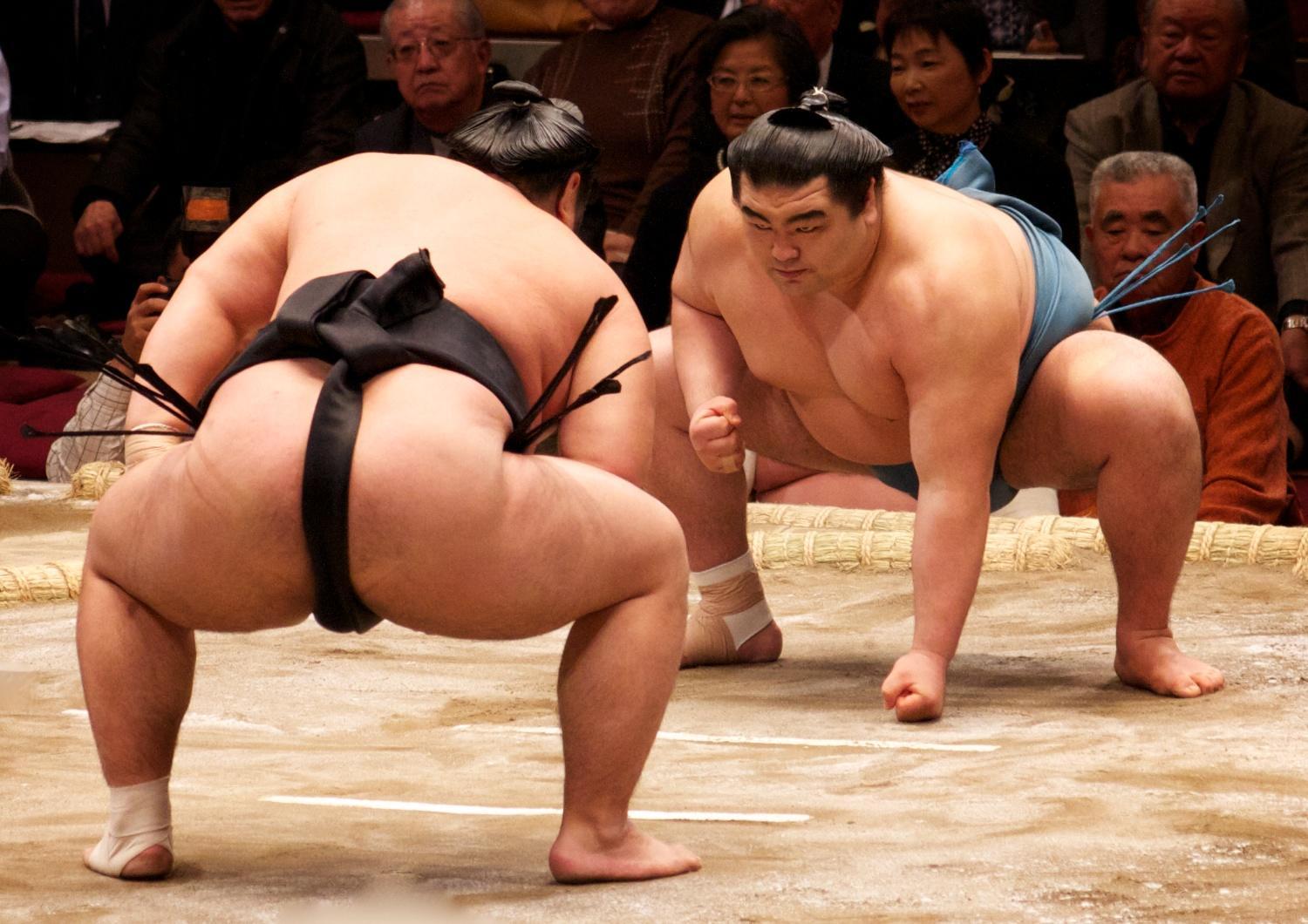 ¿En qué consiste el deporte del sumo?