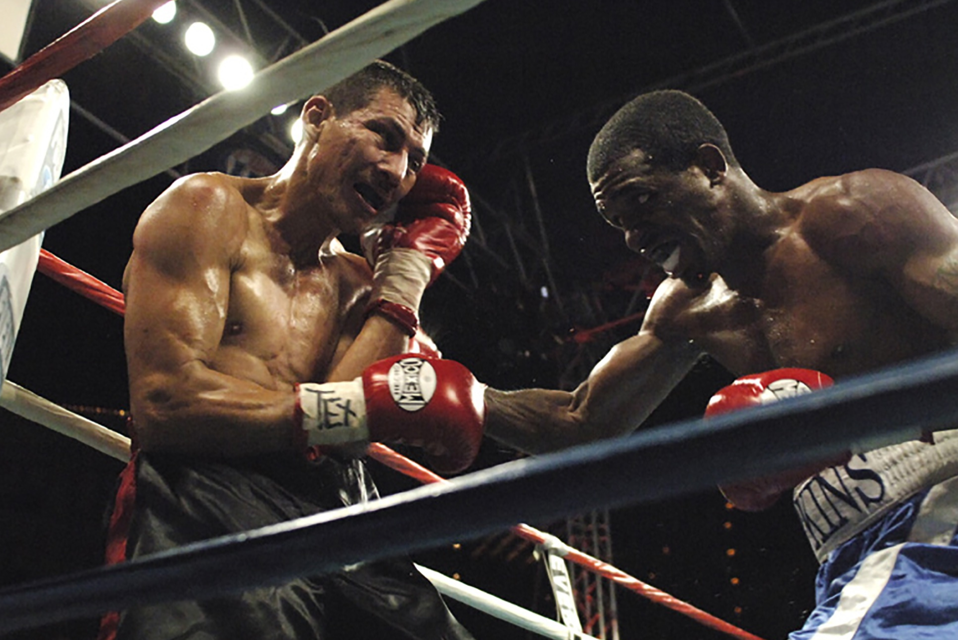 Grandes boxeadores: lugar de formación