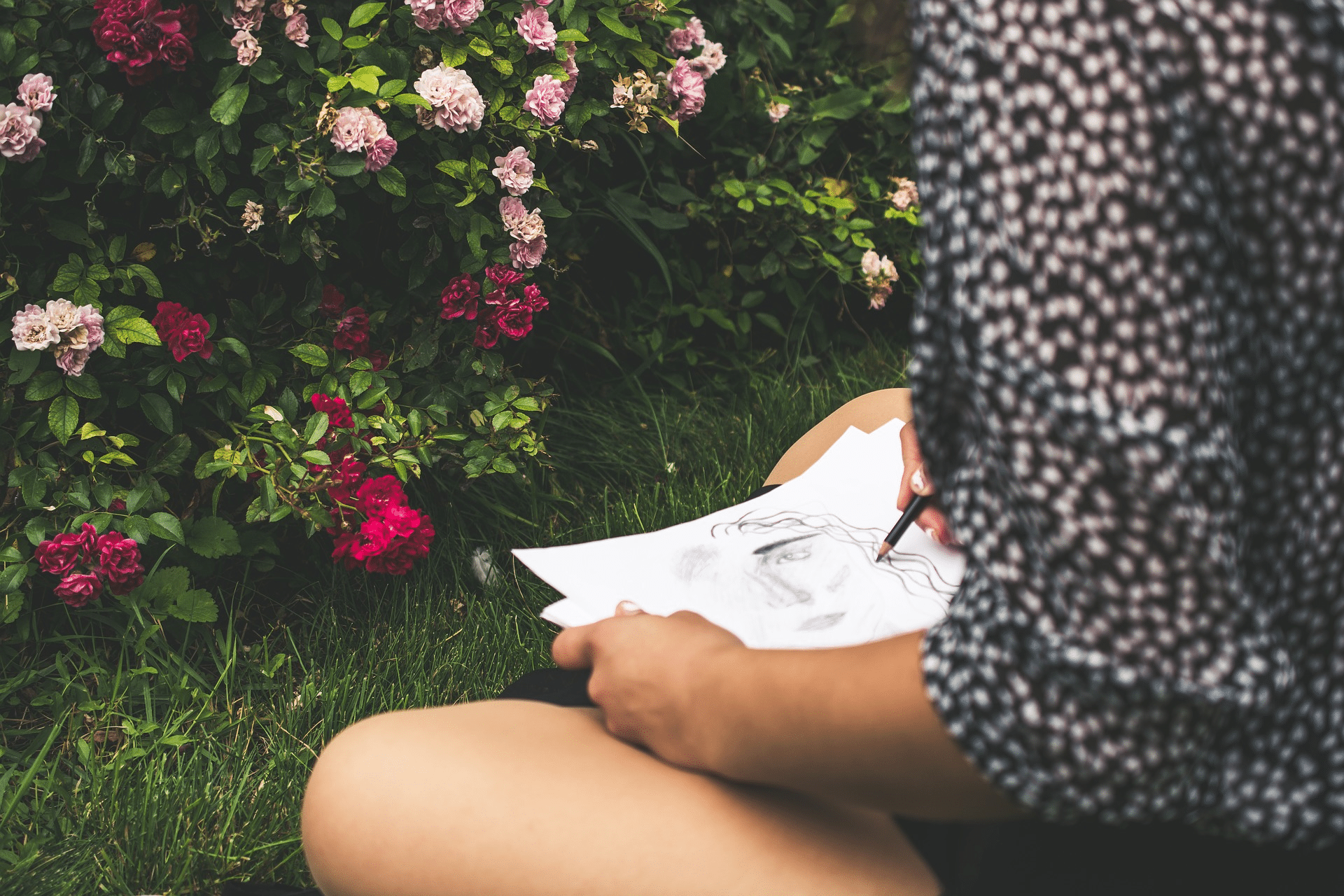 Mujer observando la naturaleza y dibujando en su libreta