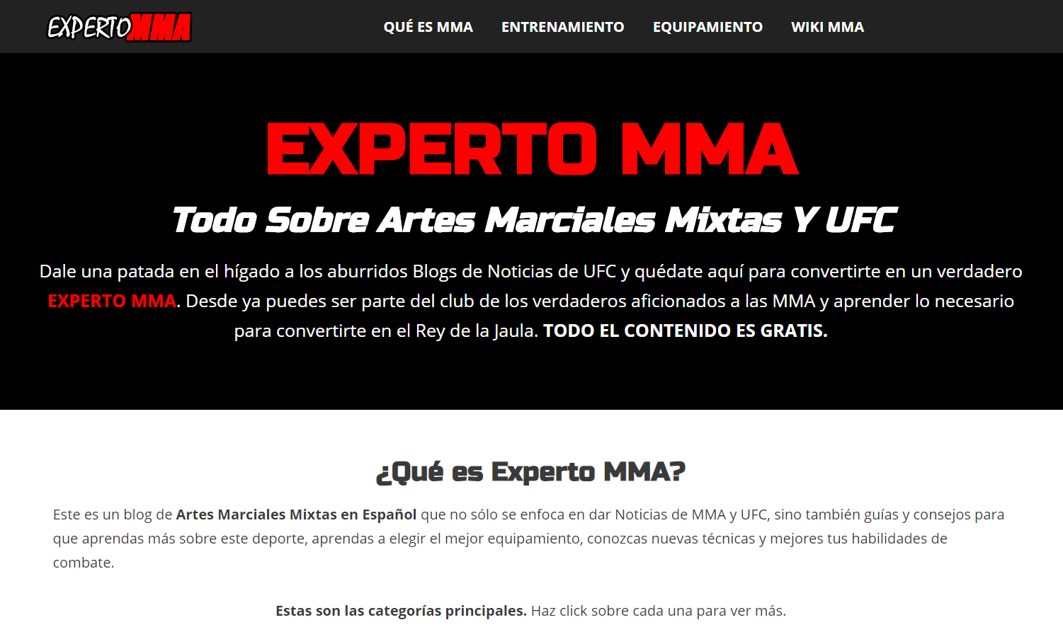 Entrenamiento boxeo online