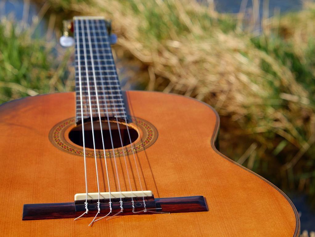aprender a tocar guitarra