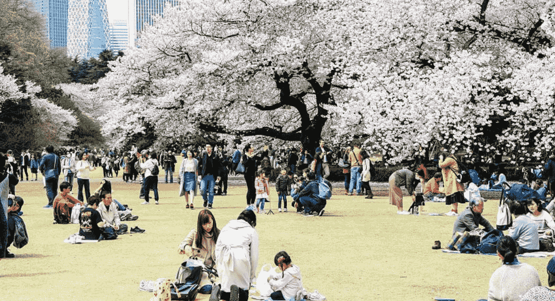 que hacer en tokio