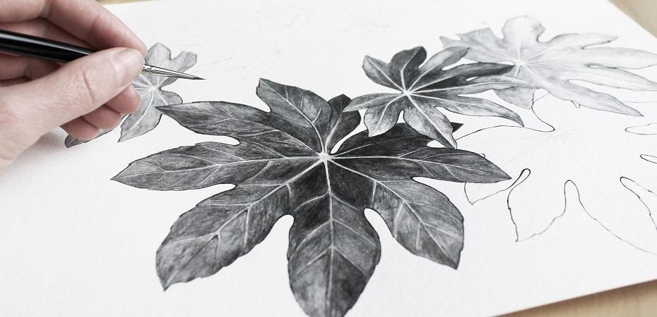 cursos dibujo online