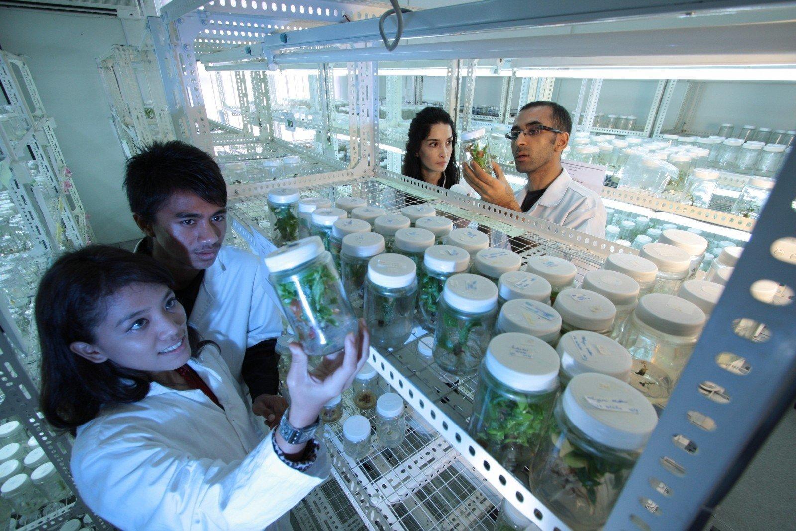 Vídeos para aprender química en casa.