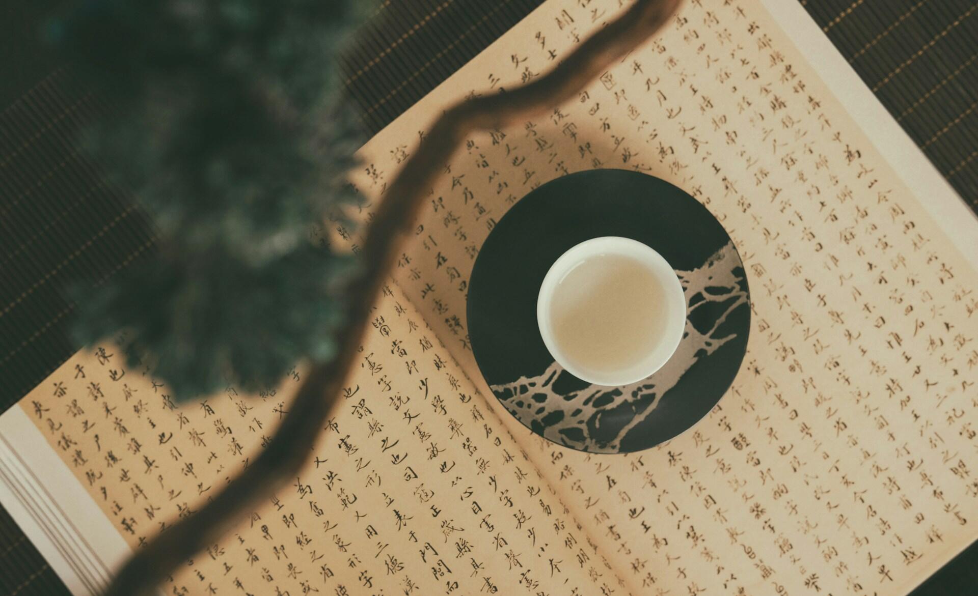 Una taza de té blanca descansa sobre un platillo decorativo, colocado sobre un libro abierto con caligrafía china. Una rama de árbol difuminada atraviesa el primer plano, aportando profundidad.