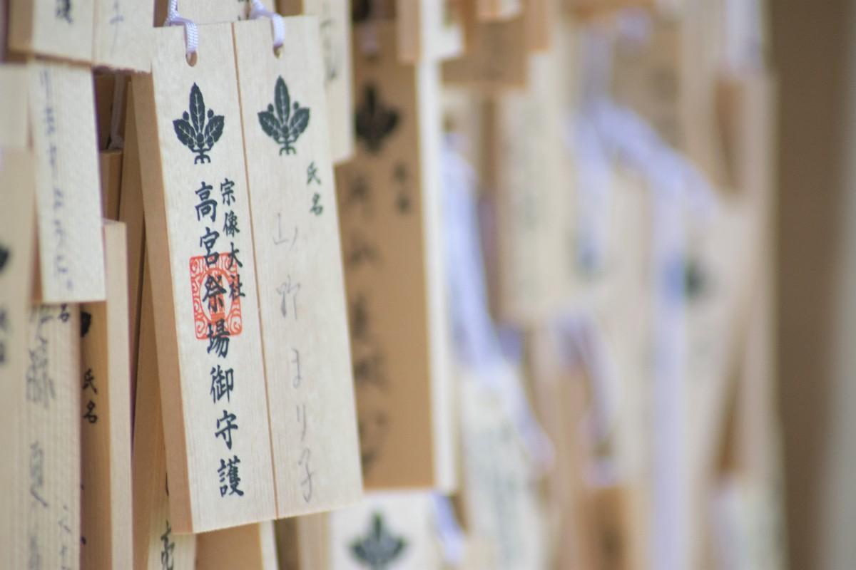 sitios web albafeto japones